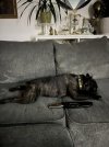 IMG_4656.jpeg