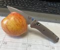 IMG_3742.jpeg