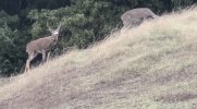 IMG_6902.jpeg