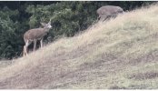 IMG_6901.jpeg