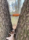 IMG_6592.jpeg