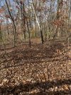 IMG_6601.jpeg