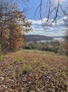 IMG_6599.jpeg