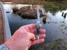 2023-11-07 Blue Case Whittler Osage Park.JPG