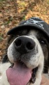 IMG_1573.jpeg