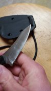 20231108_000931.jpg 20231108_000931.jpg