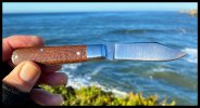 IMG_0425.jpeg