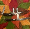 IMG_2426.jpeg