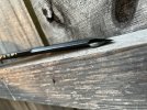 IMG_2616.jpeg