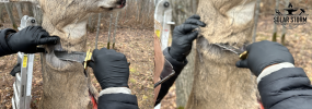 Hunter in Use (1).png