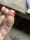 IMG_3274.jpeg