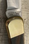 Buck 50 years 1.jpg