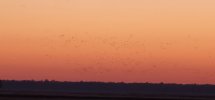 20231103_181912.jpg