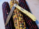 slimtrap.indiancorn.jpg
