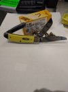 Case yellow sowbelly open.jpg