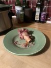 IMG_2464.jpeg