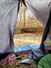 20231112_095252.jpg