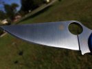 PM23.jpg
