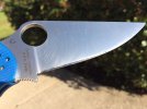 PM21.jpg