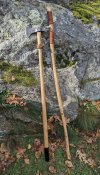 Walking-Sticks.jpg