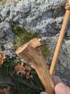 Walking-stick-foot.jpg