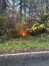 IMG_4675.jpeg