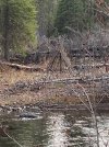 IMG_4246.jpeg
