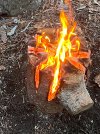 IMG_4252.jpeg