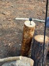 IMG_4255.jpeg