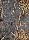 IMG_4256.jpeg