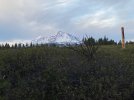 IMG_4266.jpeg