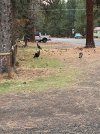 IMG_4267.jpeg
