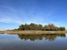 IMG_2869.jpeg