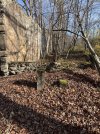 IMG_6610.jpeg