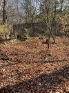 IMG_6611.jpeg