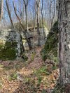 IMG_6614.jpeg