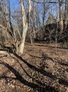IMG_6635.jpeg