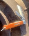 IMG_3095.jpeg