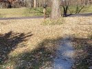 11-13-23.JPG