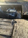 IMG_8275.jpeg