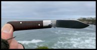 IMG_0469.jpeg