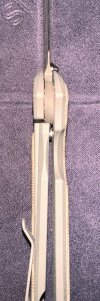 IMG_3381.jpeg