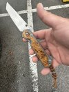 IMG_1080.jpeg