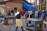 DSC01462-vi.jpg