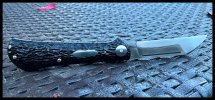 IMG_0496.jpeg