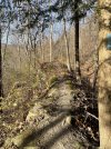 IMG_6666.jpeg