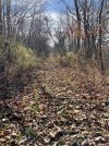IMG_6649.jpeg