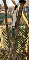 IMG_2519.jpeg