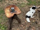 IMG_2023-11-18-054314.jpeg