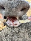 IMG_1473.jpeg